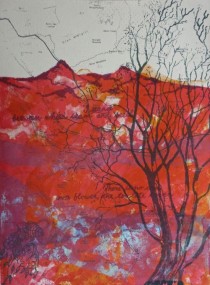 Isle of Skye - Rona MacLean